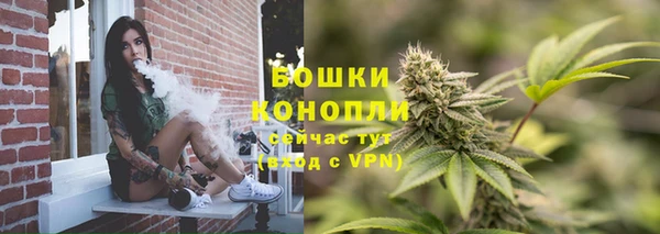 тгк Кулебаки