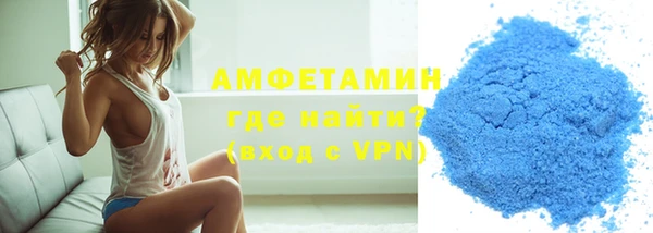 молекула духа Новозыбков
