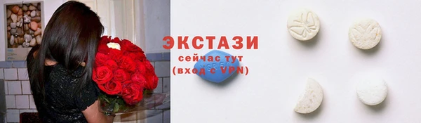 СК Краснослободск