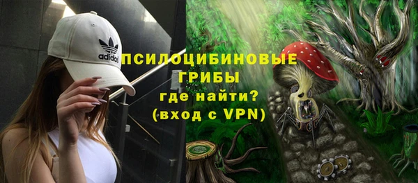 apvp Кукмор
