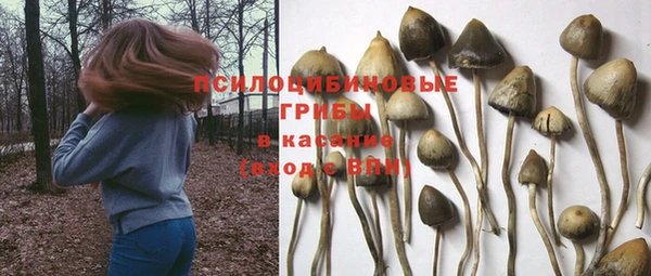 тгк Кулебаки