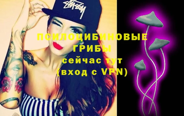 тгк Кулебаки