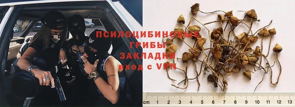 сатива Красноперекопск