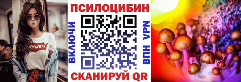 ссылка на мегу вход  Ессентукская  Псилоцибиновые грибы Cubensis 